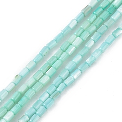 Pale Turquoise Natural Freshwater Shell Dyed Beads Strands, Column, Pale Turquoise, 4.8x3mm, Hole: 0.8mm, about 78pcs/strand, 14.96''(38cm)
