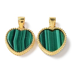 Malachite Natural Malachite Pendants, Heart Charms, with Golden Plated 925 Sterling Snap on Bails, 16x14x3mm, Hole: 4.5x3.5mm