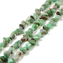 Crisoprasa Hebras naturales de perlas de crisoprasa, chip, 5.5~14x5~7x2~5 mm, agujero: 1 mm, 15.75~15.83 pulgada (40~40.2 cm)