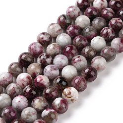 Tourmaline Natural Plum Blossom Tourmaline Beads Strands, Round, 10mm, Hole: 1.2mm, about 40pcs/strand, 15.55''(39.5cm)