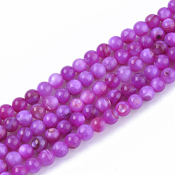 Magenta Freshwater Shell Beads Strands, Dyed, Round, Magenta, 4mm, Hole: 0.8mm, about 95pcs/strand, 14.96 inch(38cm)