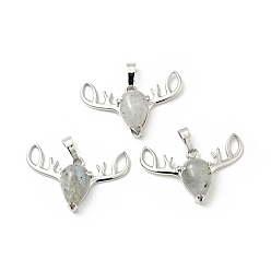 Labradorite Natural Labradorite Pendants, with Platinum Tone Brass Findings, Lead Free & Cadmium Free, Deer Head Charms, 23~24x34x7.5mm, Hole: 5x8mm