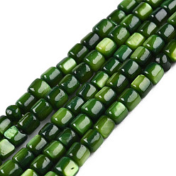 Темно-Зеленый Естественных пресноводных оболочки бисер нитей, окрашенные, колонка, темно-зеленый, 3.5x3~3.5 мм, отверстие : 1 мм, около 111~117 шт / нитка, 14.37 дюйм ~ 14.65 дюйм (36.5~37.2 см)