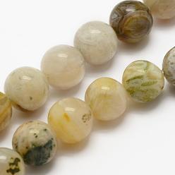 Bamboo Leaf Agate Natural Bamboo Leaf Agate Beads Strands, Round, 6mm, Hole: 1mm, about 62pcs/strand, 15.3 inch(39cm)