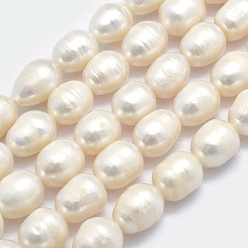 Beige Natural Cultured Freshwater Pearl Beads Strands, Oval, Beige, 11~17x9~10mm, Hole: 0.8mm, about 31pcs/strand, 14.17 inch