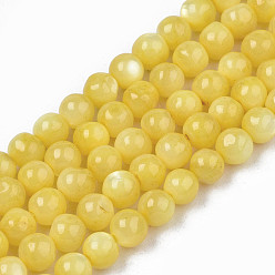 Yellow Natural Freshwater Shell Beads Strands, Dyed, Round, Yellow, 4mm, Hole: 0.8mm, about 97~99pcs/strand, 14.88 inch~15.16 inch(37.8~38.5cm)
