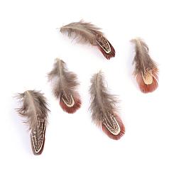 Brown Chicken Feather Costume Accessories, Dyed, Brown, 40~80x10~20mm