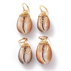 Camel 304 Stainless Steel Leverback Earrings, with Wire Wrapped Natural Cowrie Shell Beads, Golden, Camel, 42.5~46mm, Pin: 0.7mm