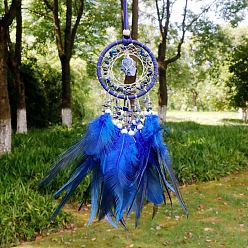 Feather Natural Lapis Lazuli Woven Web/Net with Feather Pendant Decorations, with Wood Beads, Covered with Cotton Lace and Villus Cord, 400x70mm