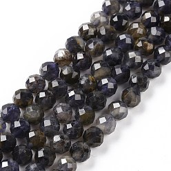 Iolite Natural Iolite Beads Strands, Faceted, Round, 6mm, Hole: 0.8mm, about 66pcs/strand, 15.43''(39.2cm)