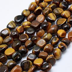 Œil De Tigre Chapelets de perles oeil de tigre naturelles, pierre tombée, nuggets, 8~15x5~10mm, Trou: 1mm, 15.3 pouces ~ 15.7 pouces (39~40 cm)
