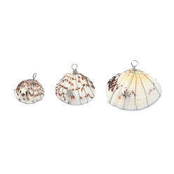Platinum Natural Clam Shell Copper Wire Wrapped Pendants, Dyed Shell Chams with Brass Star Beads, Platinum, 21~32x23.5~37x8~10mm, Hole: 3.5mm