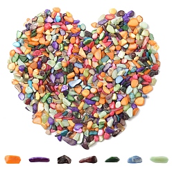 Mixed Color 50G Dyed Natural Freshwater Shell Chip Beads, No Hole/Undrilled, Mixed Color, 3~19x1~8mm