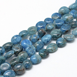 Apatite Natural Apatite Beads Strands, Oval, 8~15x7~12x4~12mm, Hole: 1mm, about 30~45pcs/strand, 15.7