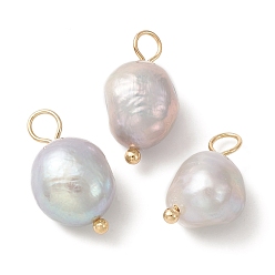 Plata Colgantes naturales perlas de agua dulce, dijes de papa con aros de latón bañados en oro, plata, 16~17x8~9x8~8.5 mm, agujero: 2.5~3 mm