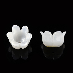 White Shell Natural White Shell Bead Caps, 6-Petal, Lily of the Valley, 8x8x7mm, Hole: 1mm