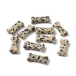 Dálmata del Jaspe Esculturas en forma de hueso de perro de jaspe dálmata natural, piedra de energía reiki para los amantes de las mascotas, decoración de exhibición casera, 10~11.5x23~25x5~7 mm