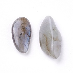 Labradorite Perles naturelles de labradorite, non percé / pas de trou, puces, 8~21x7~10x4~6 mm 4~6 mm, environ 100 g /sachet 