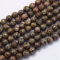 Snowflake Obsidian Natural Snowflake Obsidian Beads Strands, Round, Faceted, 8~8.5mm, Hole: 1mm, about 49pcs/strand, 15.7 inch(40cm)