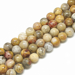 Crazy Agate Natural Crazy Agate Beads Strands, Round, 6mm, Hole: 1mm, about 61pcs/strand, 14.7 inch
