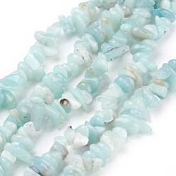 Bleu Ciel Chapelets de perles amazonite naturelles  , puces, bleu ciel, 4~11x3~8x2~10mm, Trou: 1mm, environ 32~34 pouce