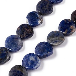 Sodalite Natural Sodalite Beads Strands, Twist Flat Round, 16x6~7mm, Hole: 1mm, about 25pcs/strand, 15.75''(40cm)
