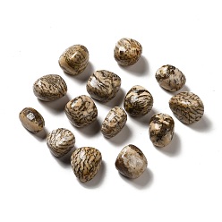 Feldespato Perlas de feldespato natural, piedra caída, gemas de relleno de jarrones, sin agujero / sin perforar, pepitas, 17~30x15~27x8~22 mm