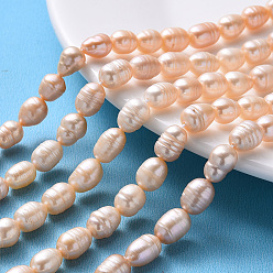 PeachPuff Natural Cultured Freshwater Pearl Beads Strands, Rice, PeachPuff, 7~13x7~8mm, Hole: 0.8mm, about 32~40pcs/strand, 12.99 inch