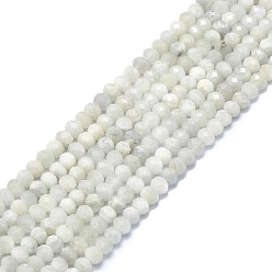 Rainbow Moonstone Natural Rainbow Moonstone Beads Strands, Faceted, Rondelle, 6x4mm, Hole: 1mm, about 85~90pcs/strand, 15.55 inch(39.5cm)