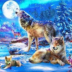 Разноцветный Наборы алмазной живописи с изображением волка и пейзажа своими руками, включая стразы из смолы, алмазная липкая ручка, поднос тарелка и клей глина, красочный, 300x400 мм