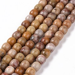 Mixed Stone Natural Marble and Sesame Jasper/Kiwi Jasper Beads Strands, Column, 7.8~8x8.3mm, Hole: 1.4mm, about 48pcs/strand, 15.35''(39cm)