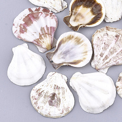 Creamy White Natural Scallop Shell Beads, Sea Shell Beads, Undrilled/No Hole Beads, Creamy White, 36~43x32~39x7~8mm