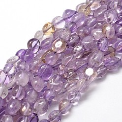 Amethyst Natural Amethyst Gemstone Nuggets Bead Strands, Tumbled Stone, 5~10x6~7x3~7mm, hole: 1mm, about 14.9 inch~15.7 inch