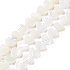 Blanc Brins de perles de coquillages naturels de troca, cœur, blanc, 8.5x8.5x2.5mm, Trou: 0.7mm, Environ 52~53 pcs/chapelet, 15.71'' (39.9 cm)