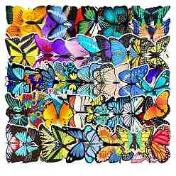 Butterfly Waterproof PVC Adhesive Sticker Lables, for Suitcase, Skateboard, Refrigerator, Helmet, Mobile Phone Shell, Computer, Cup, Butterfly Pattern, 55~70x32~65mm, 58pcs/bag