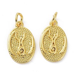 Real 18K Gold Plated Brass Pendants, with Jump Ring, Long-Lasting Plated, Textured, Oval, Real 18K Gold Plated, 16x10x2mm, Hole: 3mm