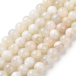 White Moonstone Naturelles perles pierre de lune blanc brins, ronde, 10mm, Trou: 0.8mm, Environ 38 pcs/chapelet, 15.55 pouce (39.5 cm)