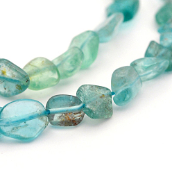 Apatite Natural Apatite Bead Strands, Tumbled Stone, Nuggets, 5~19x4~9x3~9mm, Hole: 0.5~1mm, about 15.7 inch