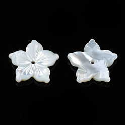 White Shell Natural White Shell Beads, Flower, 11.5x12x2mm, Hole: 0.8mm