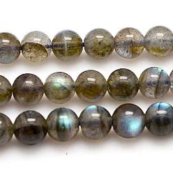 Labradorite Natural Labradorite Beads Strands, Grade AA, Round, 10mm, Hole: 1mm, about 39pcs/strand, 15.75 inch