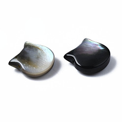 Shell de Labio negro Cuentas de concha de labio negro natural, gato, 10x10x4 mm, agujero: 0.8 mm