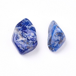Lapis Lazuli Lapis-lazuli perles naturelles, non percé / pas de trou, puces, 6~24x5~12x3~9mm, environ 100 g /sachet 
