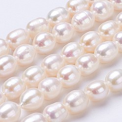 Lin Brins de perles de culture d'eau douce naturelles, riz, linge, 6~7x5~6mm, Trou: 0.5mm, Environ 47 pcs/chapelet, 13.39 pouce