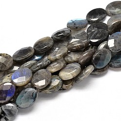 Labradorite Flat Oval Natural Labradorite Bead Strands, Faceted, 10x8x4mm, Hole: 1mm, about 40pcs/strand, 15.74 inch