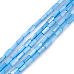 Aciano Azul Hebras de cuentas teñidas de concha natural de agua dulce, columna, azul aciano, 8x4 mm, agujero: 0.8 mm, sobre 46 unidades / cadena, 14.96'' (38 cm)