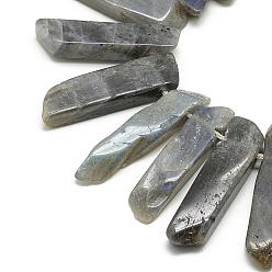Labradorite Natural Labradorite Beads Strands, Top Drilled Beads, Rectangle, 20~65x7~15x6~10mm, Hole: 2mm, about 30~40pcs/strand, 15.75 inch(40cm)