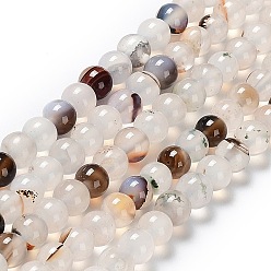 Natural Agate Natural Agate Beads Strands, Round, Dyed & Heated, 8mm, Hole: 1mm, about 48pcs/strand, 14.1 inch