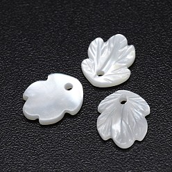 White Leaf Natural White Shell Mother of Pearl Shell Charms, 11x9x2mm, Hole: 1mm