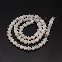 Howlite Howlite Star Bead Strands, Dyed, 8x3mm, Hole: 1mm, about 55pcs/strand, 15.3 inch
