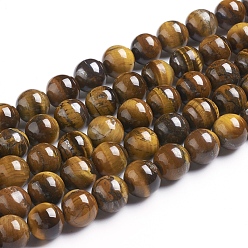 Œil De Tigre Chapelets de perles oeil de tigre naturelles, ronde, Grade b, 12mm, Trou: 1mm, Environ 33 pcs/chapelet